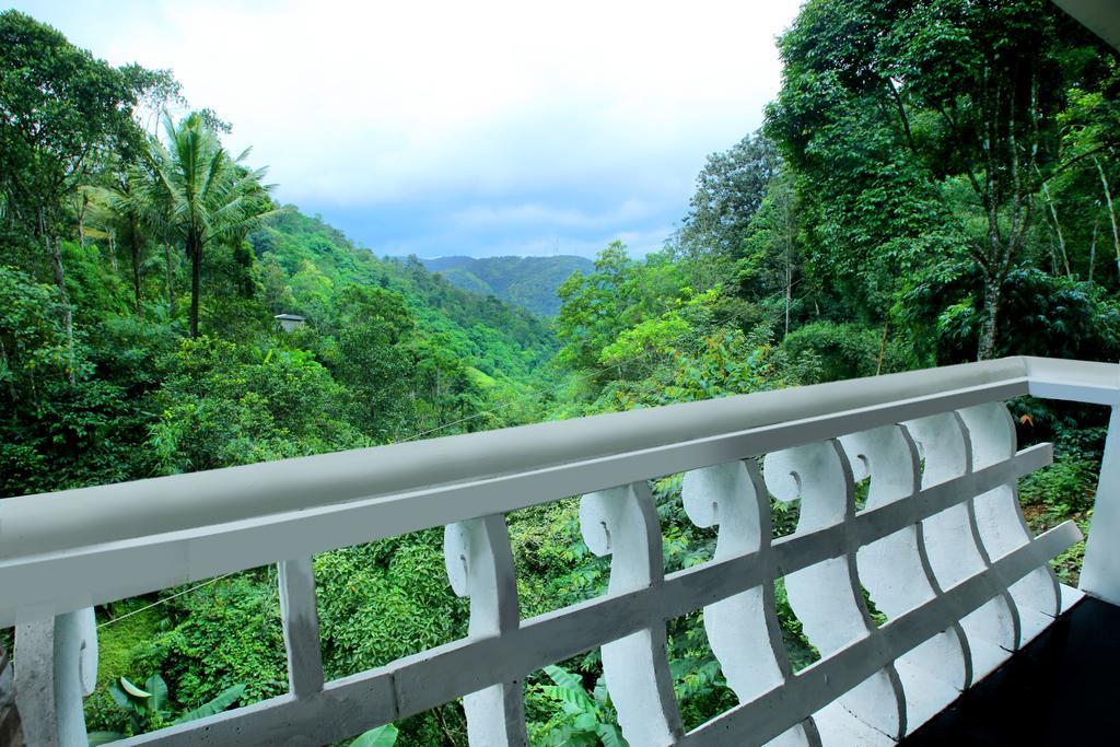 Spring And Valley View Thekkady Cameră foto